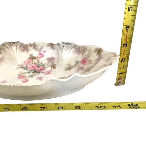 RS Prussia Porcelain Celery Relish Serving Dish Pink Rose Flower Floral Antique - Picture 14 of 15